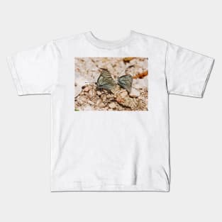 Aporia Crataegi Butterflies Kids T-Shirt